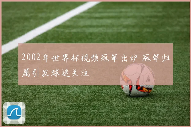 2002年世界杯视频冠军出炉 冠军归属引发球迷关注