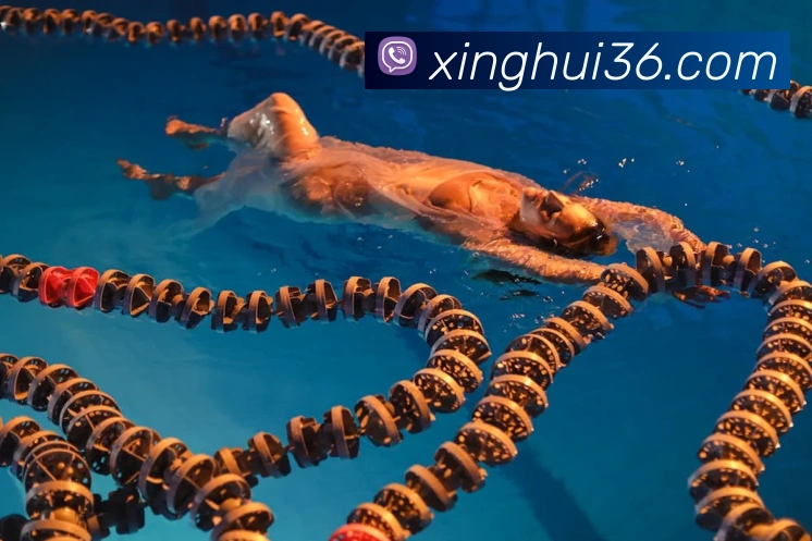未来规划