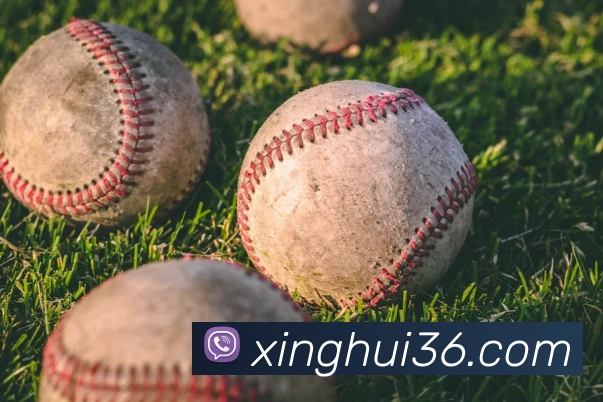 qy球友会最新地址全站App